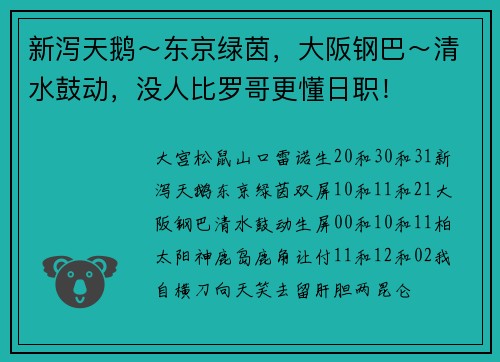 新泻天鹅～东京绿茵，大阪钢巴～清水鼓动，没人比罗哥更懂日职！