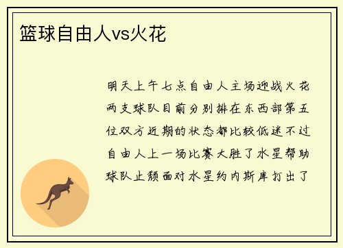 篮球自由人vs火花